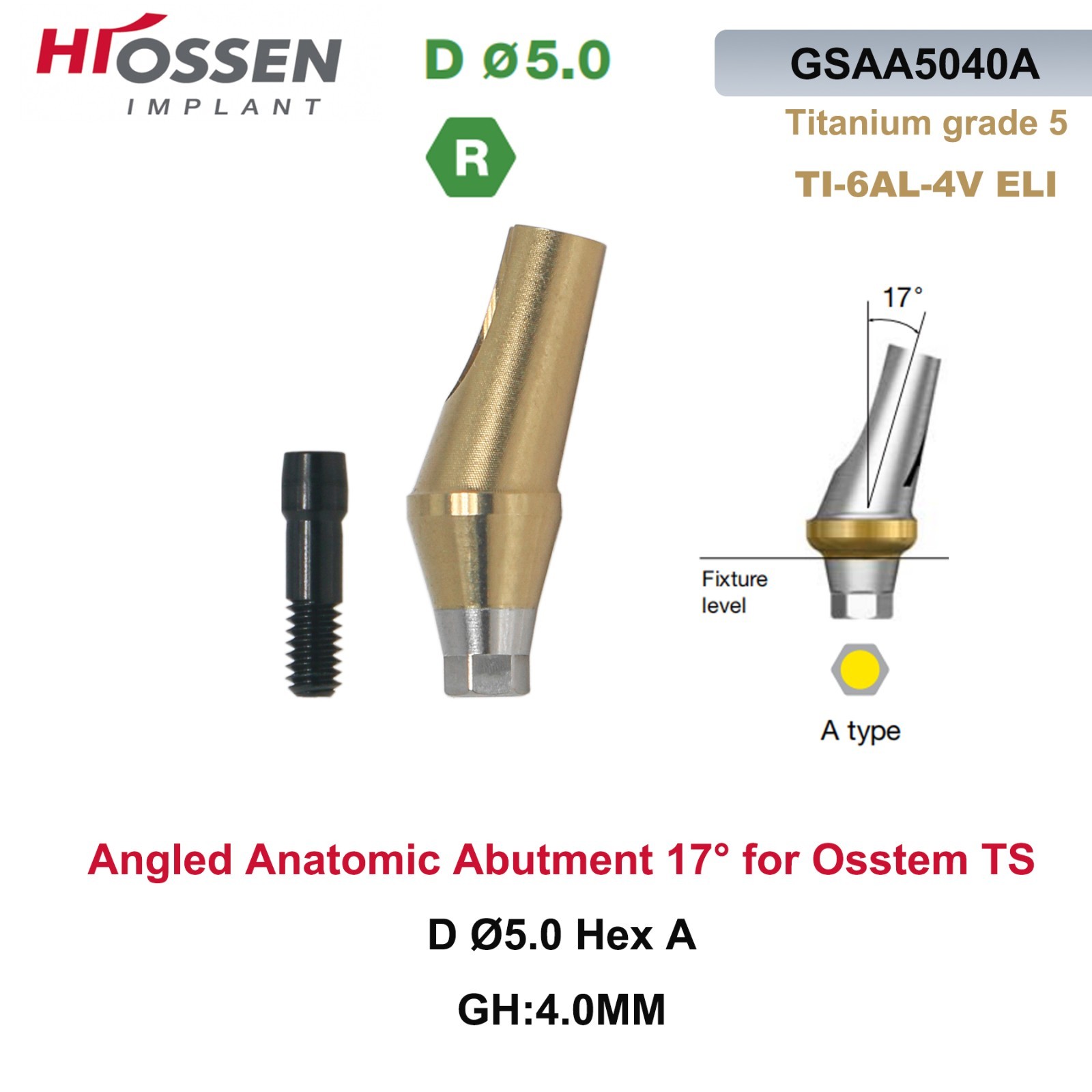 17° Angled Abutment Mini/Regular Hex Compatible with Osstem TS Implants Titanium