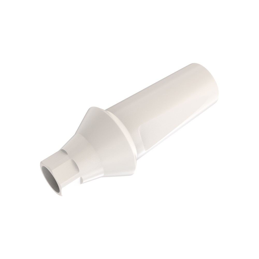 1pcs DSl Straight Abutment Anatomic Peek Conical Connection NP Dental Lab
