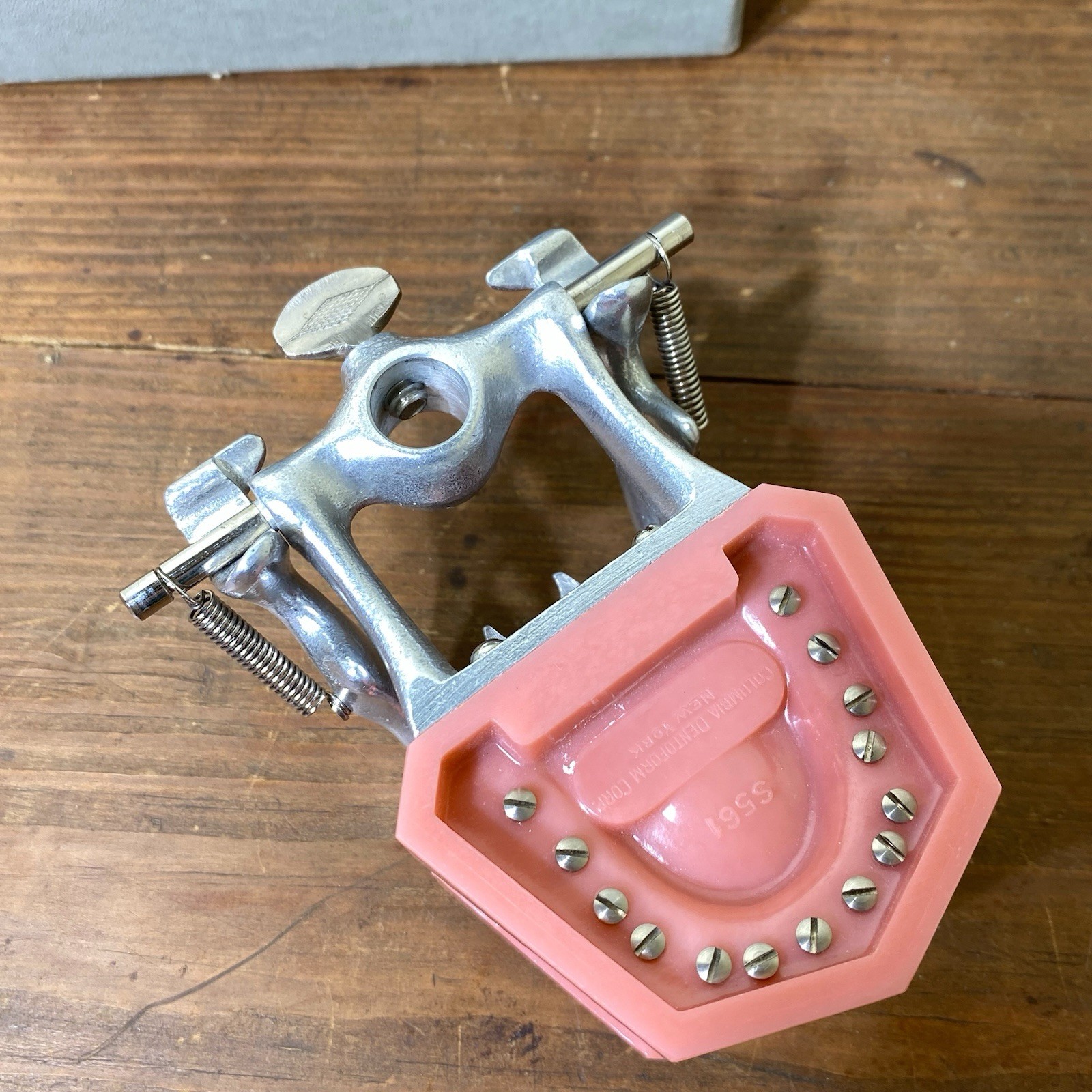 VTG Colombia Dentoform Dental Articulator Model Teeth Dentist Lab Tool Medical
