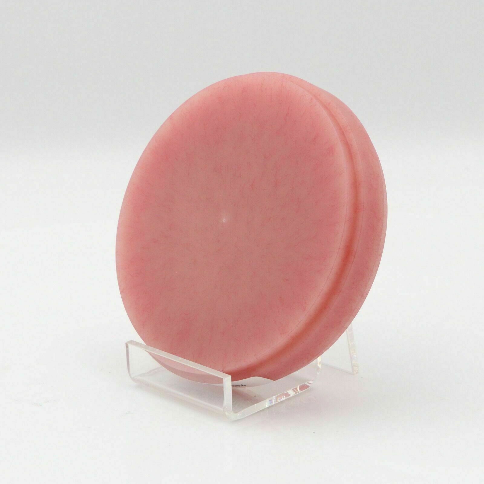 5Pcs Dental Lab Materials Fit For Wieland System Pink PMMA Blocks CAD CAM Disk