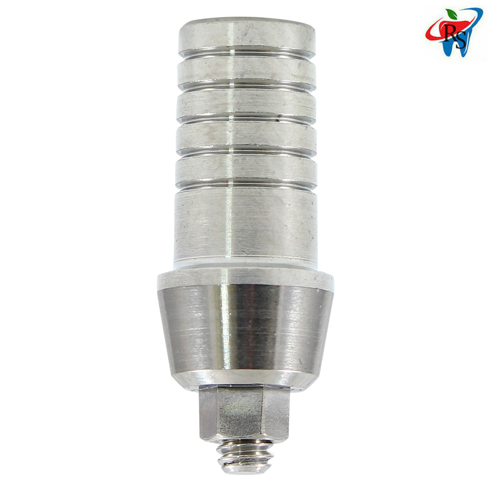 10x Dental Imp lant Straight Shoulder Abutment Wide Platform Internal Hex 2.42mm
