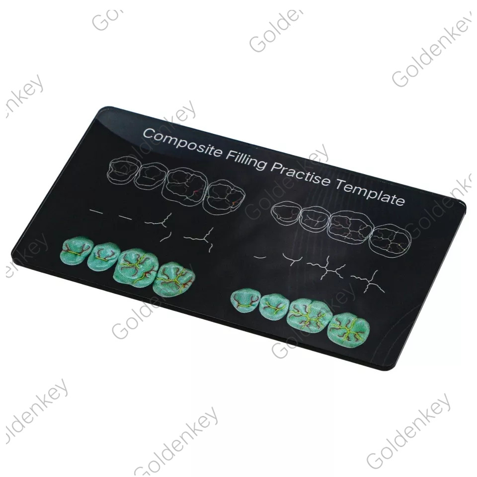 Dental Composite Filling Practise Template Board Model Student Practice Resin