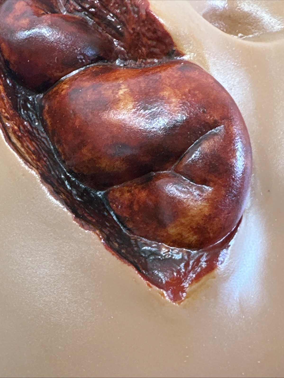 Abdominal Wound Training Model Exposed Organ Trauma Simulation for Medical Educa
