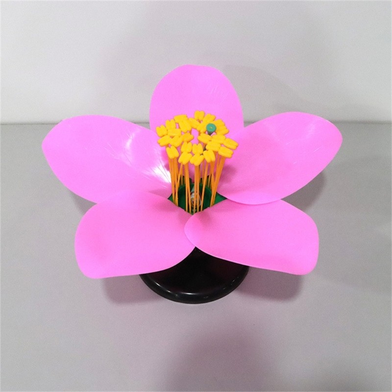 Detachable Plastic Peach Blossom Model Suitable for Detailed Study