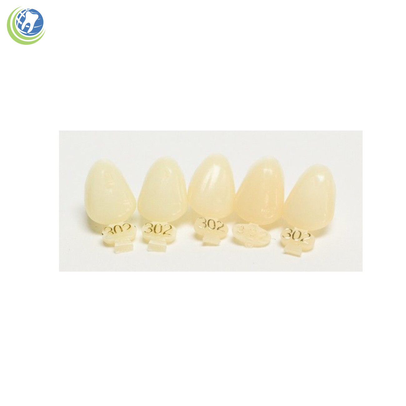 Tooth #11 & #22 Tooth Upper or Lower Left Cuspid Polycarbonate Crowns Cap Refill