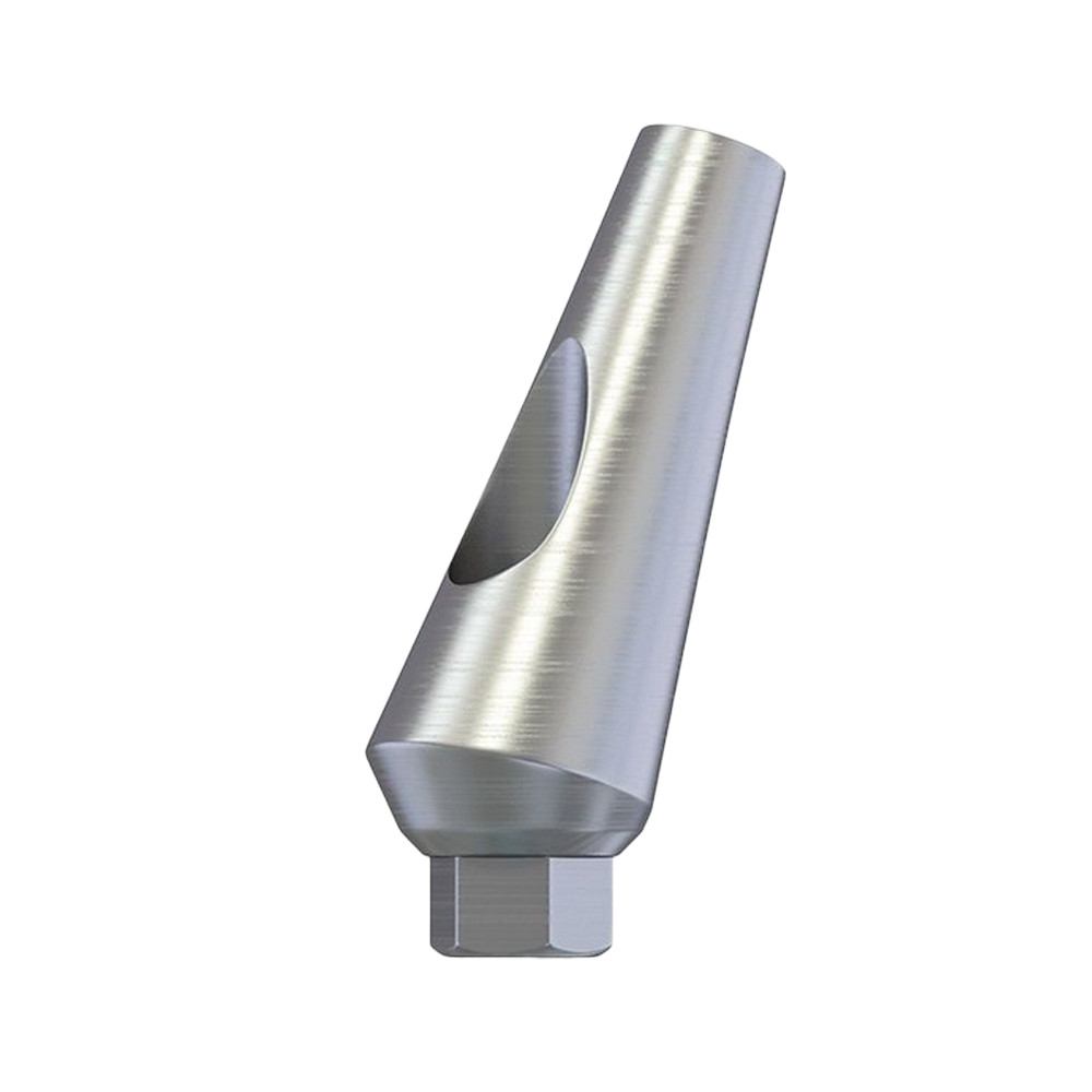 10pcs Dental Impl ant Abut ment Angulated Angular 15° / 25° Internal Hex