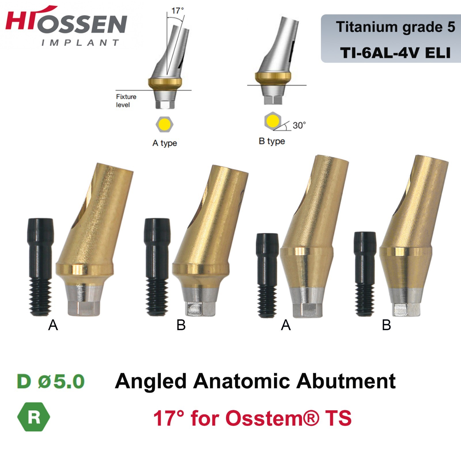 17° Angled Abutment Mini/Regular Hex Compatible with Osstem TS Implants Titanium