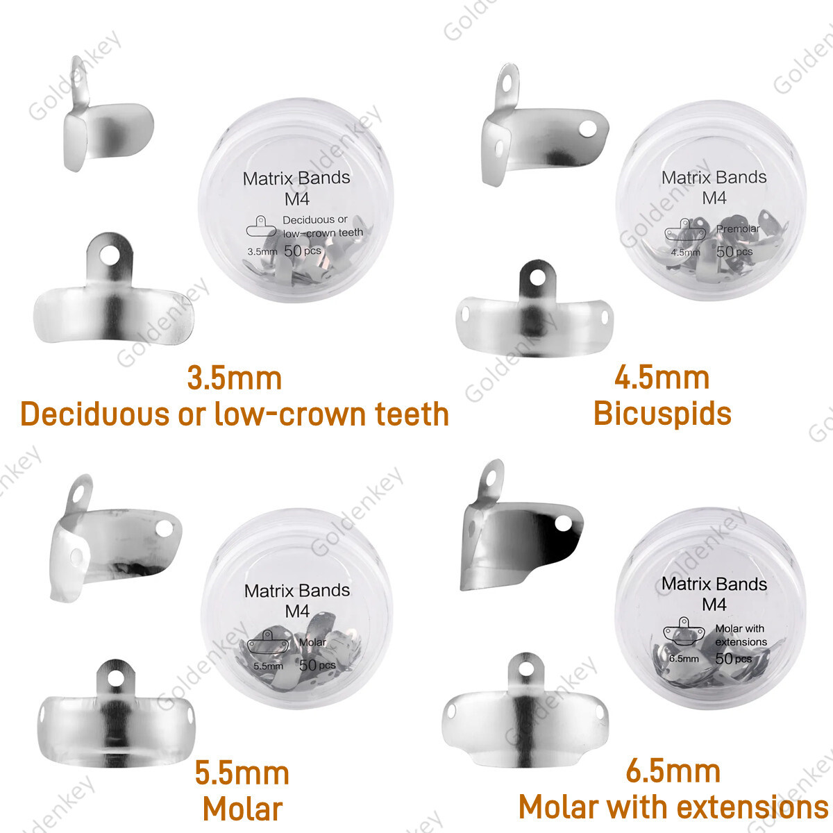 Dental Matrix Ring Clamp Endo Strata Wedges 3D Composite Kits Fits Garrison