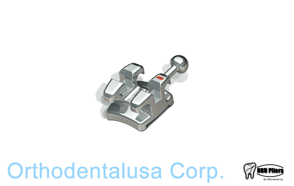 Masel AMERI TWIN ROTH BRACKET .022» / 29001021 Orthodentalusa Corp. USA seller