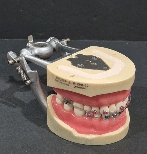 NISSIN PRO2001-UL-SP-DPM-32 Dental Typodont Model Teeth, With Braces See Photos