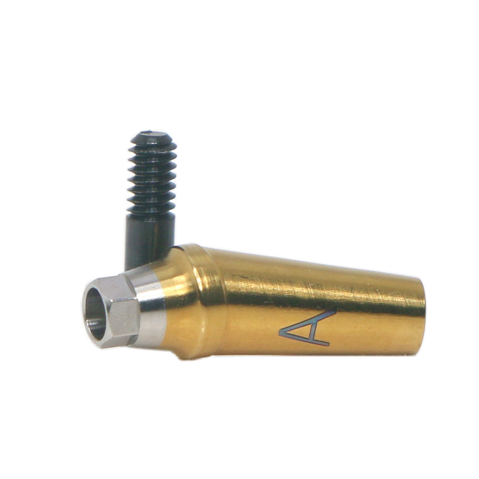 17° Angled Anatomic Abutment Regular Fits Hiossen Osstem Ø4.5mm GH 2.0/4.0mm