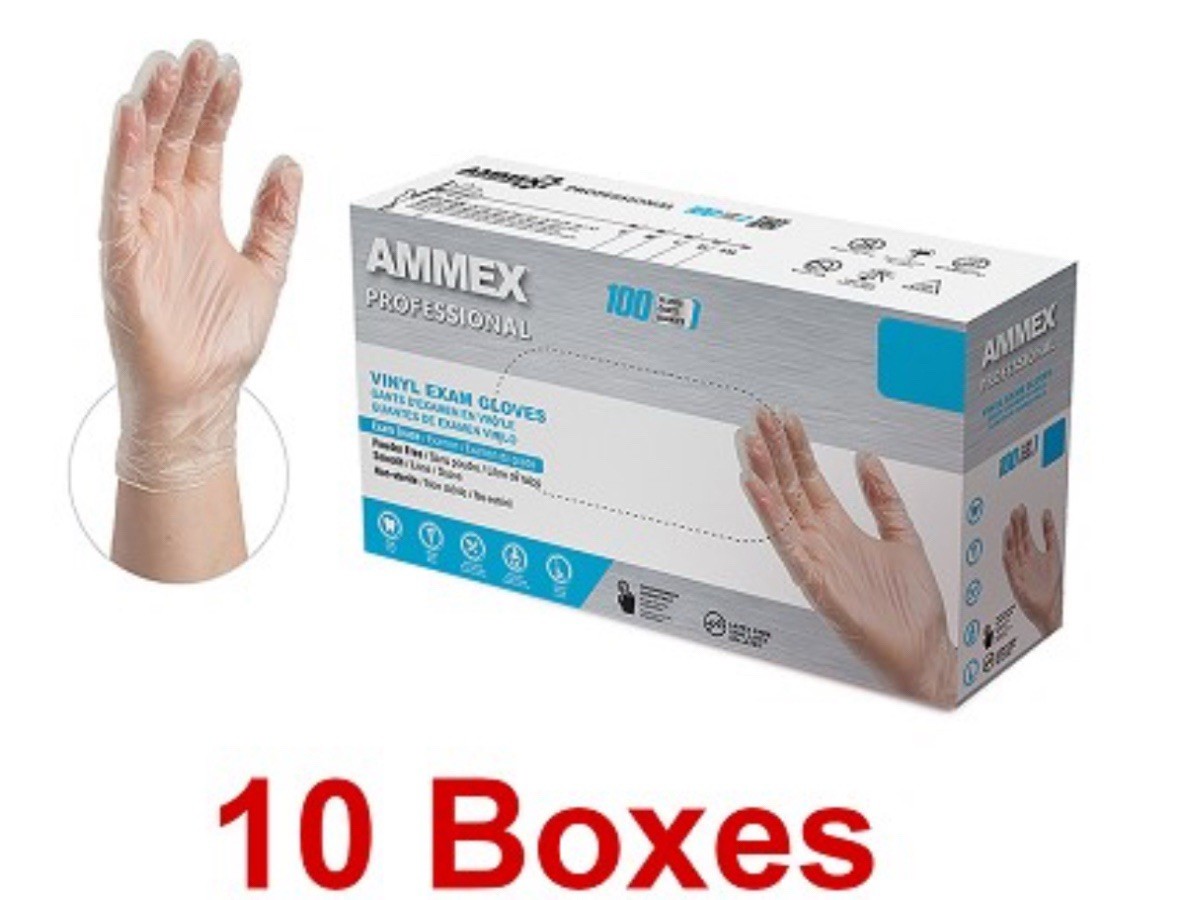 1000 (10 Boxes) AMMEX L Large Professional Vinyl Exam Gloves Latex Powder Free