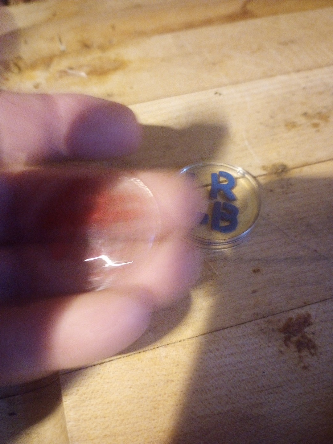 Xray Markers With Initials RB Red And Blue One Set