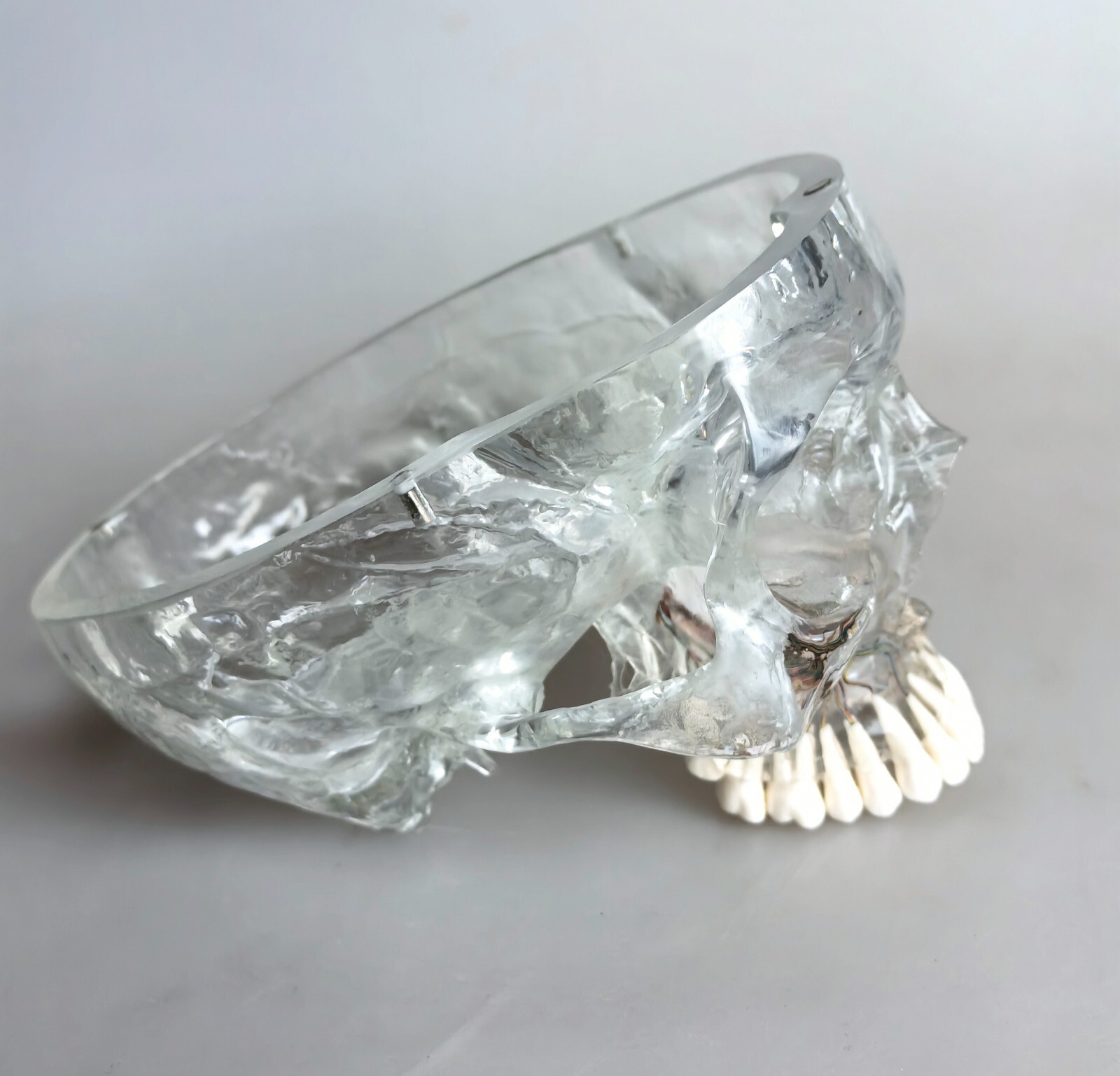 1:1 Human Upper Jaw Bone With Nerve Vessels Medical Anatomical Model
