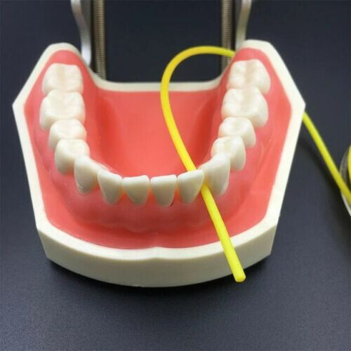 5x Dental Rubber Dam Stabilizing Cord Clamps Elastic Wedges Line Sheet 2.1m