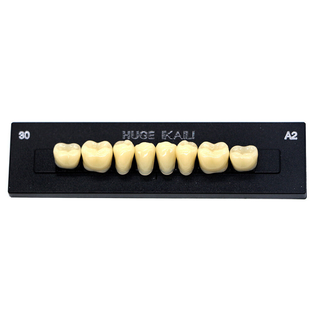 Dental Intraoral Cheek Lip Retractor Mouth Opener C+O+W+T+Fishtail 12 sizes