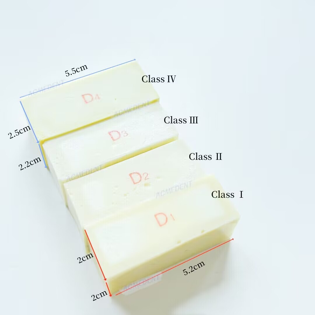 Practice Model Wood Blocks Dental Study Jaw Bone Replica GBR/Implant Use D1-D4
