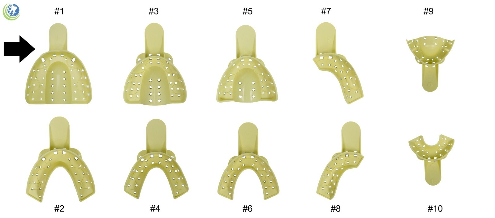 Dental Plastic Impression Trays Perforated Autoclavable UPPER LARGE #1 12 Pcs