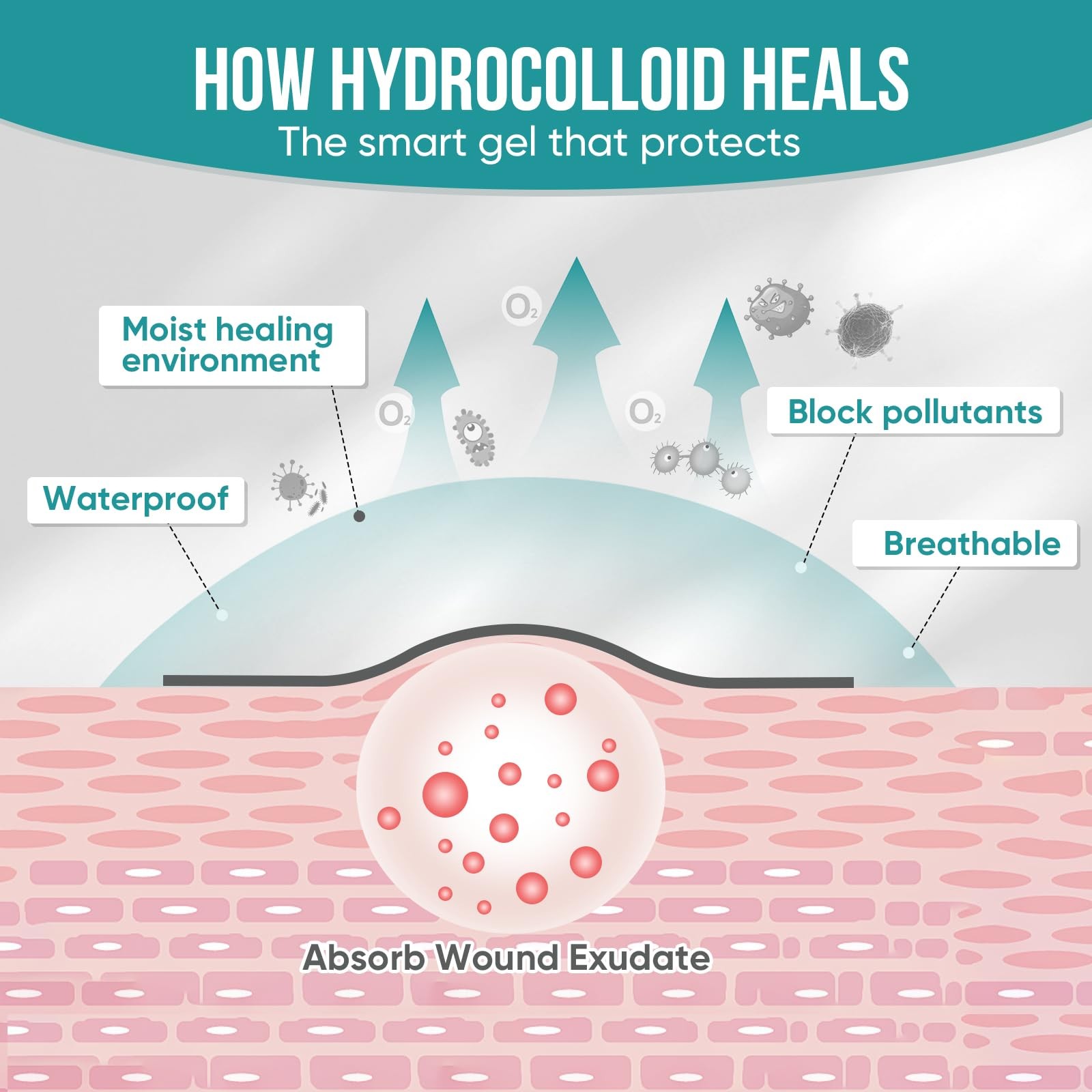 Hydrocolloid Roll for Wound Care, Patch 2in x 12ft, Transparent