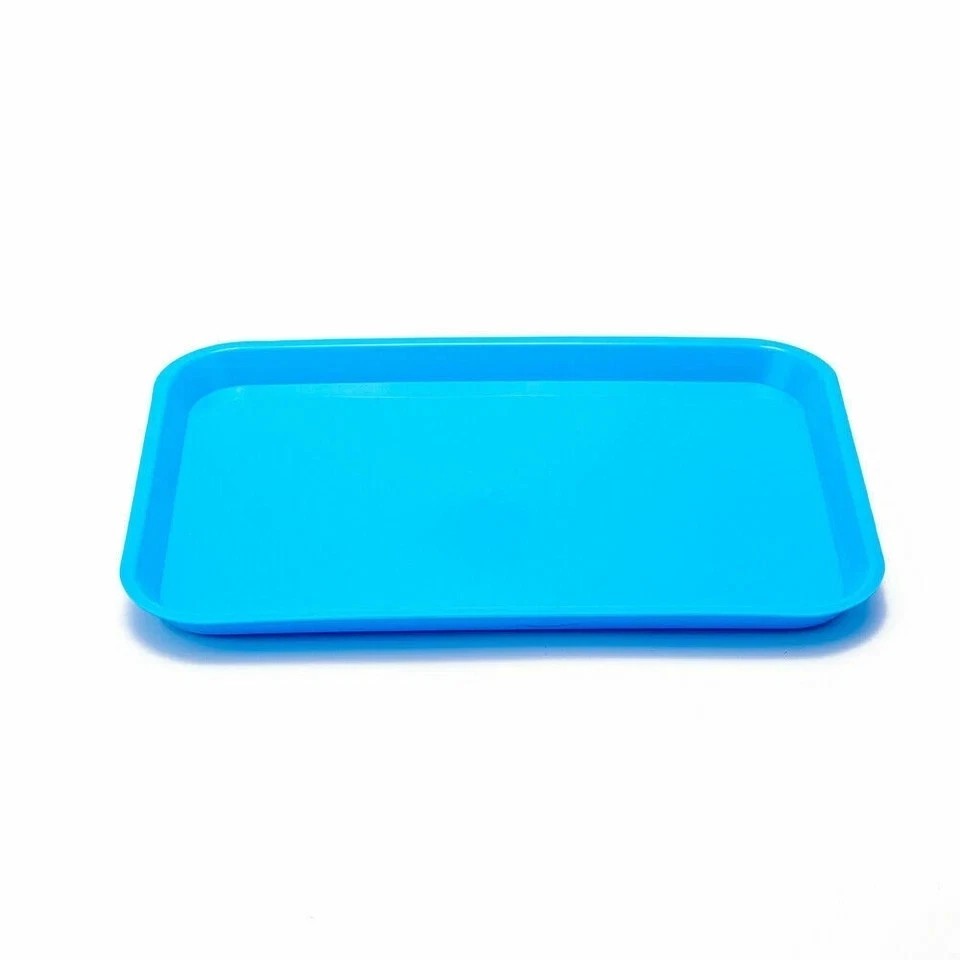 Dental Plastic/Stainless Steel/Kidney Tray/Separate Divided Tray Instrument Tray