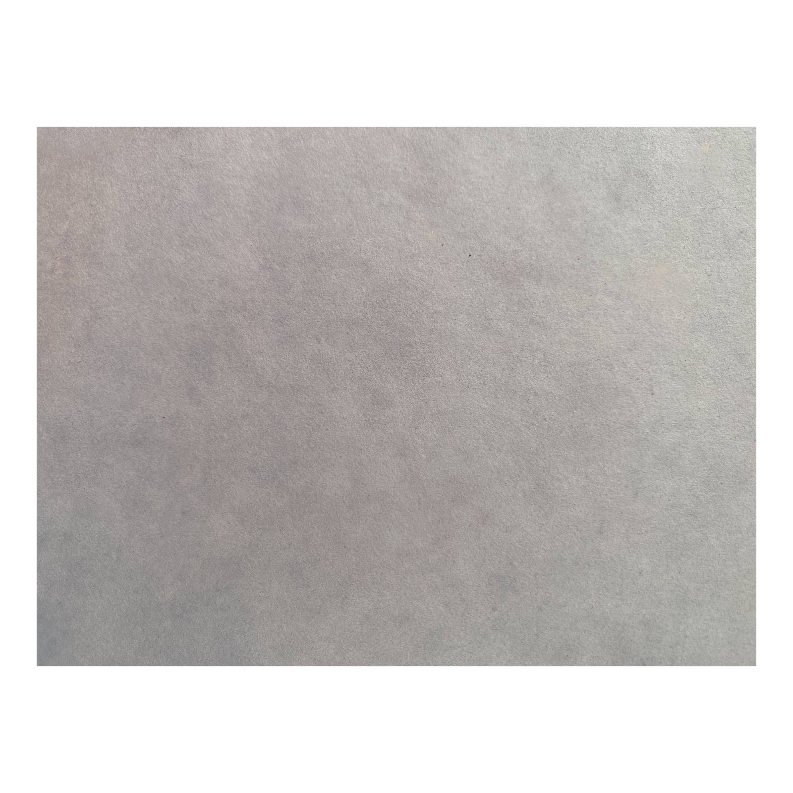 Blue Litmus Test Paper 8×10 Inch Sheet [Pack of 24]