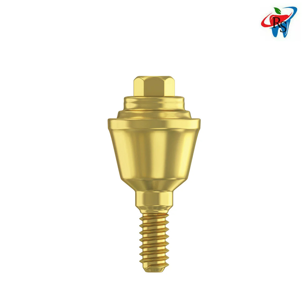 10x Dental Straight Slim Multi Unit 1.4 Int Hex 2.0mm Connection Titanium