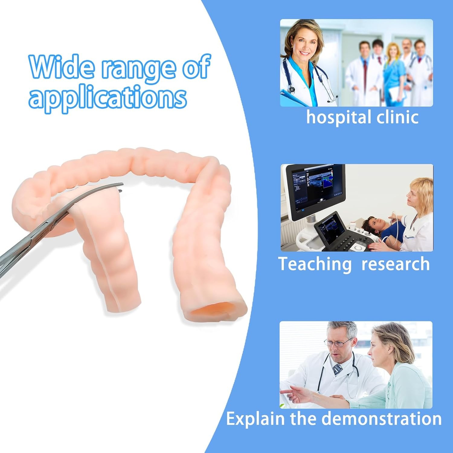 Large Intestine Model,Colon Suturing Practice,Electrocautery Practice, Understa