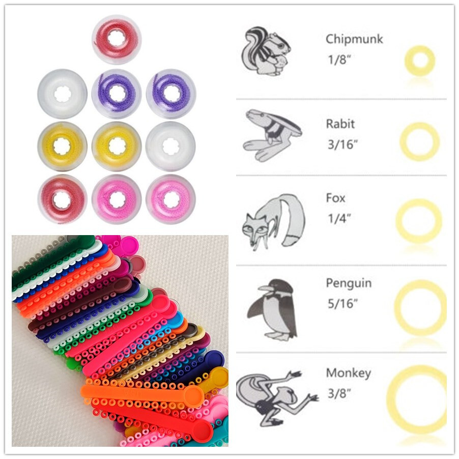 Dental Orthodontic Elastics Chain latex Elastic Ligature Ties Bands for Brackets