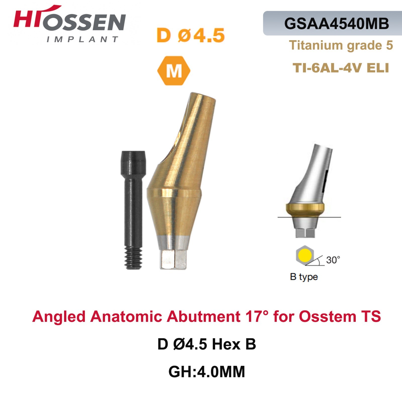 17° Angled Abutment Mini/Regular Hex Compatible with Osstem TS Implants Titanium