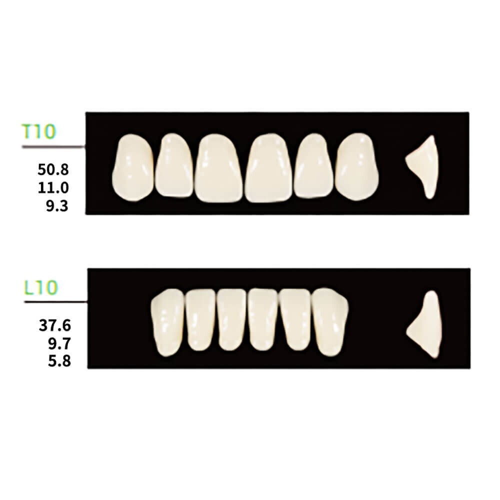Dental Synthetic Polymer Resin False Teeth Denture 112PCS T10 L10 36M Shade B1