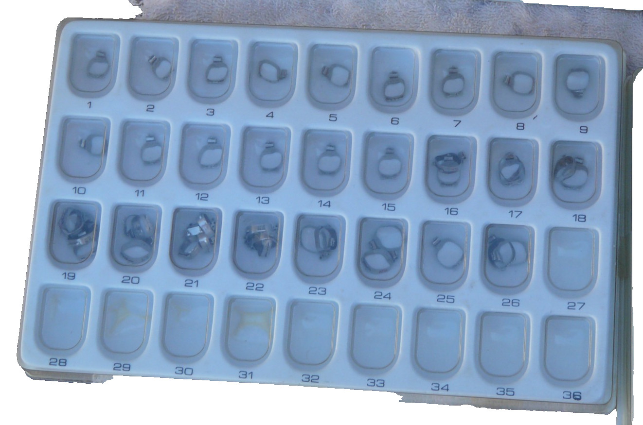 molar bands