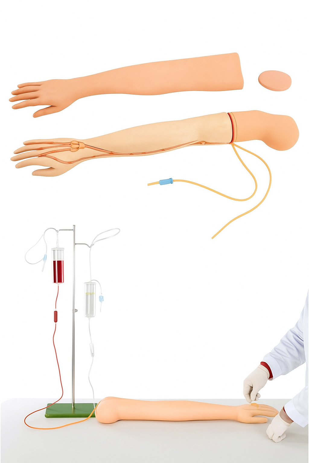 IV Injection Training Arm Kit – Realistic Phlebotomy & Venipuncture Practice Man