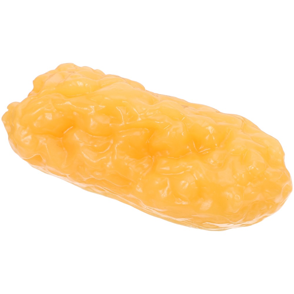 Human Body Fat Model Display Tool Tissue