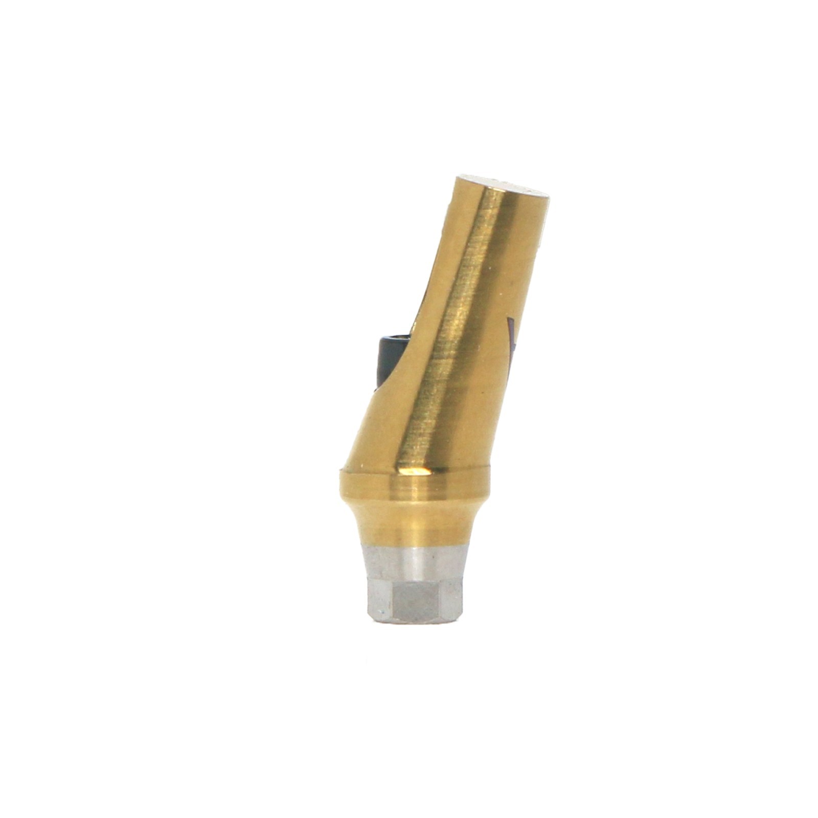 17° Angled Abutment Mini/Regular Hex Compatible with Osstem TS Implants Titanium