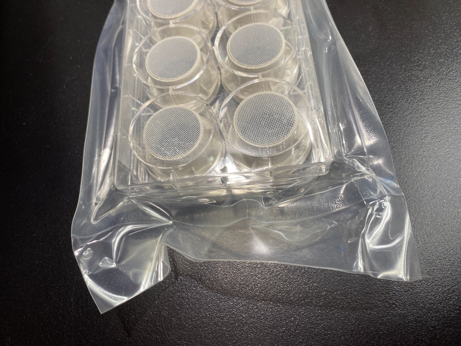 Corning Netwell Insert 440 um Membrane Diameter 24 mm Total of 48 Strainers