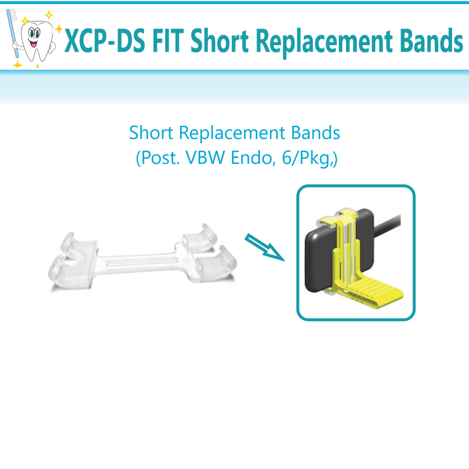 Dental X-Ray XCP-DS Fit Bands Short Replacement Bands (Post. VBW Endo) 6/Pkg