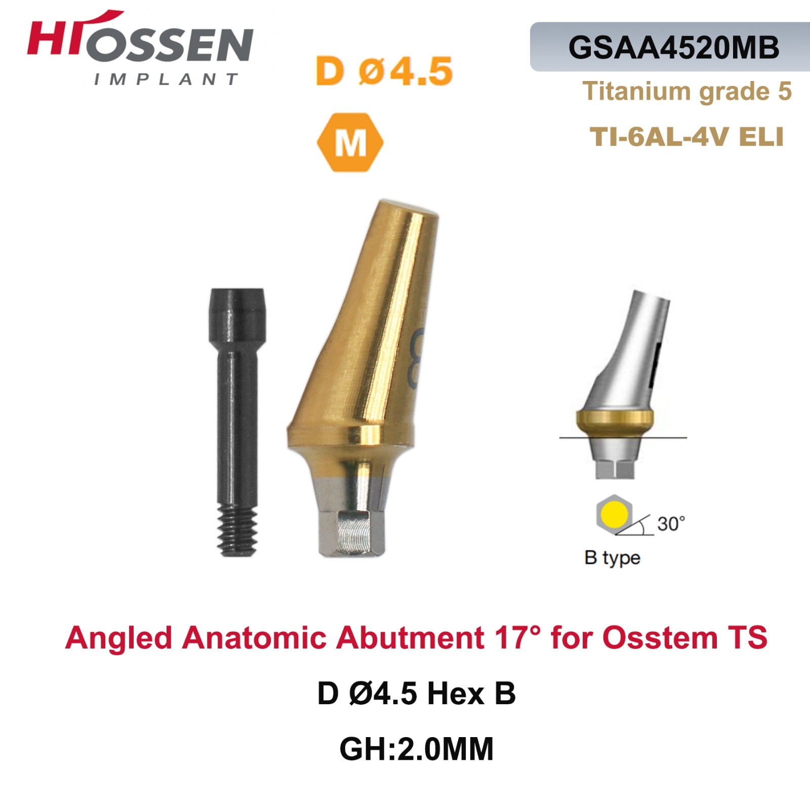 17° Angled Abutment Mini/Regular Hex Compatible with Osstem TS Implants Titanium