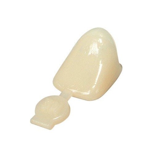 Polycarbonate Crown Forms Kit 180/pk – Dentonics