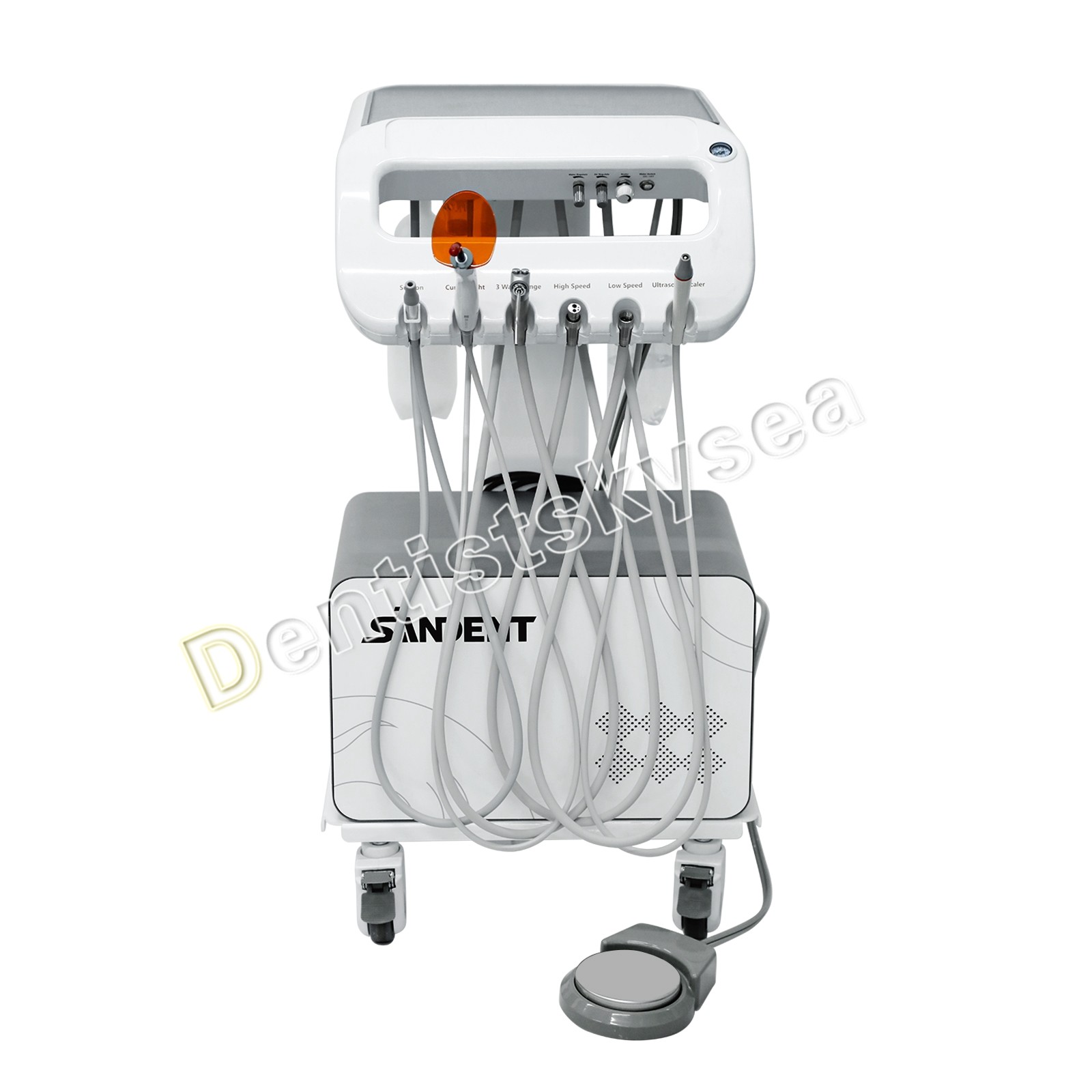 Veterinary Dental Unit with Built-in Compressor Portable Animal Dental Machine