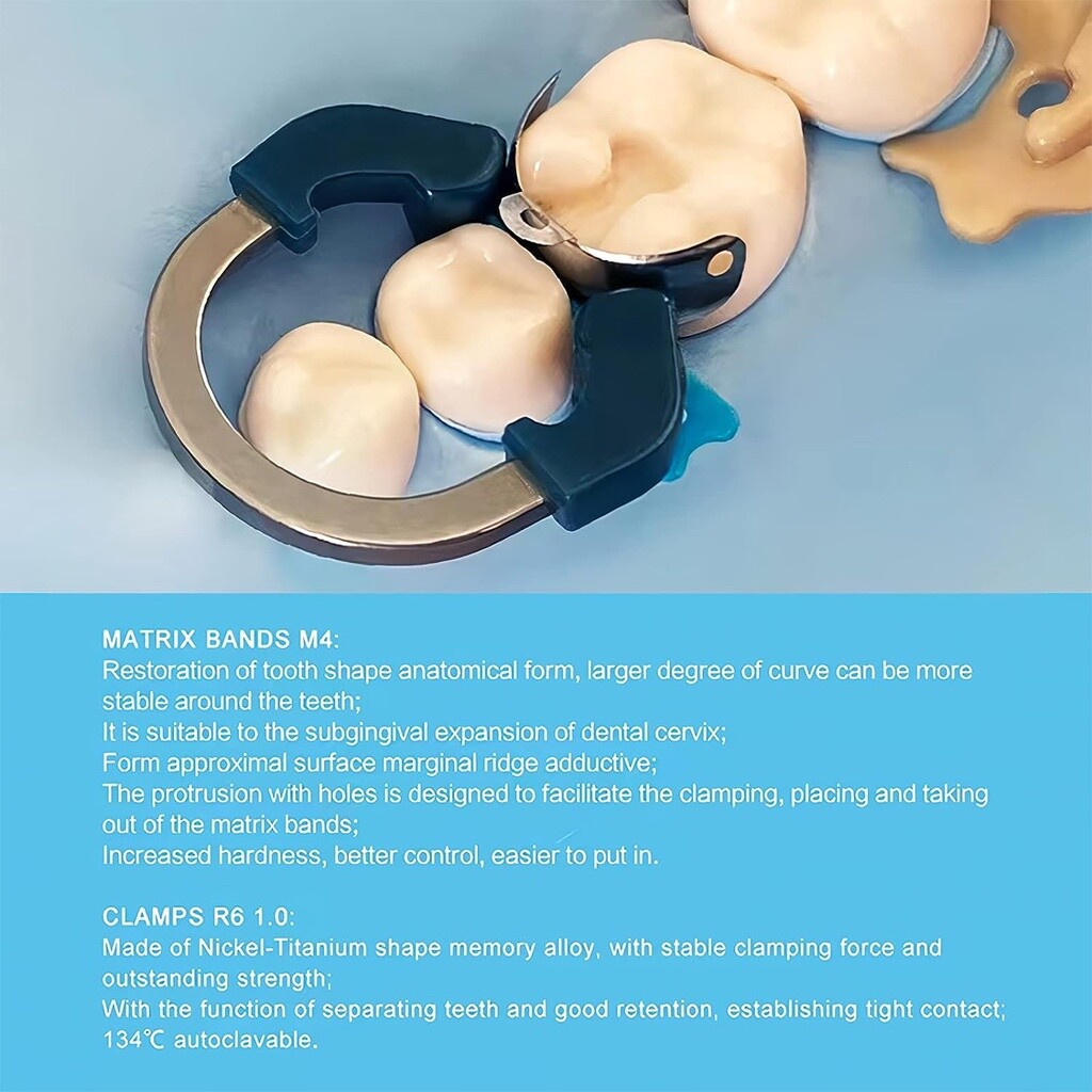 Dental Matrix Bands Ring Sectional Matrice Clamp Fit Palodent V3 Garrison FDA