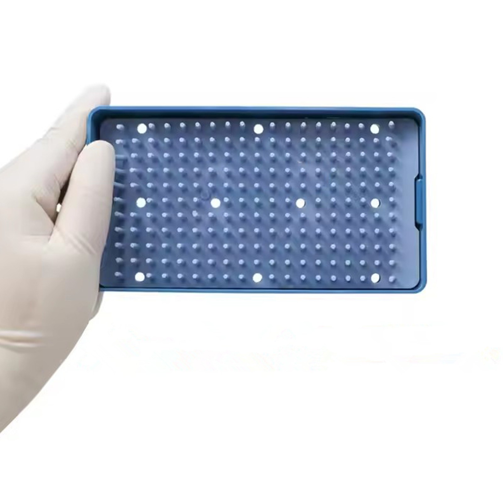 Single Layer Dental Sterilization Tray Case Silicone Disinfection Box Small Size