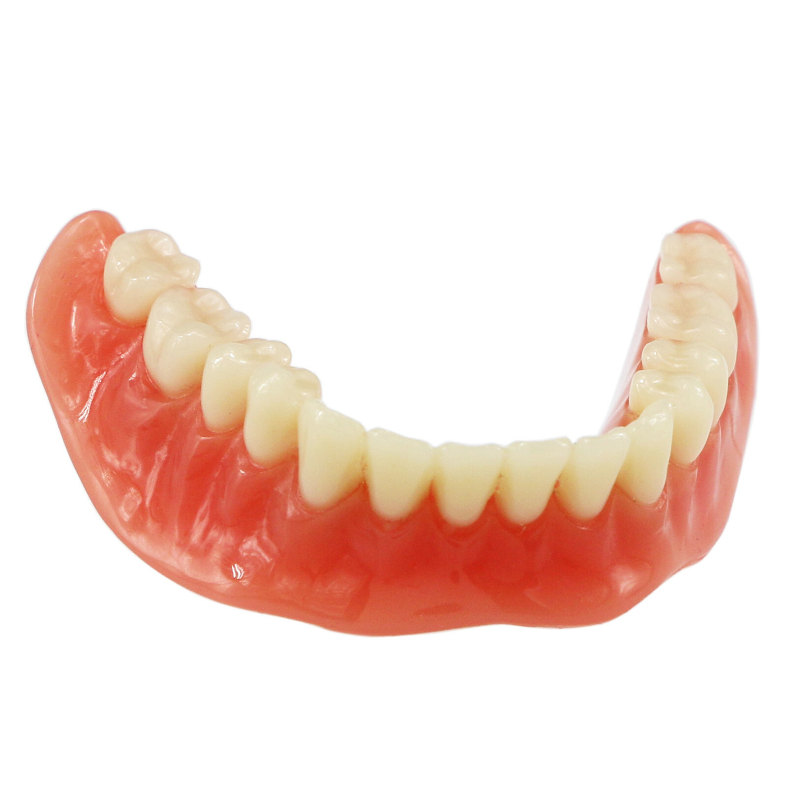 Dental Typodont Teeth Model Overdenture Lower Inferior 4 Implants Demo M6003