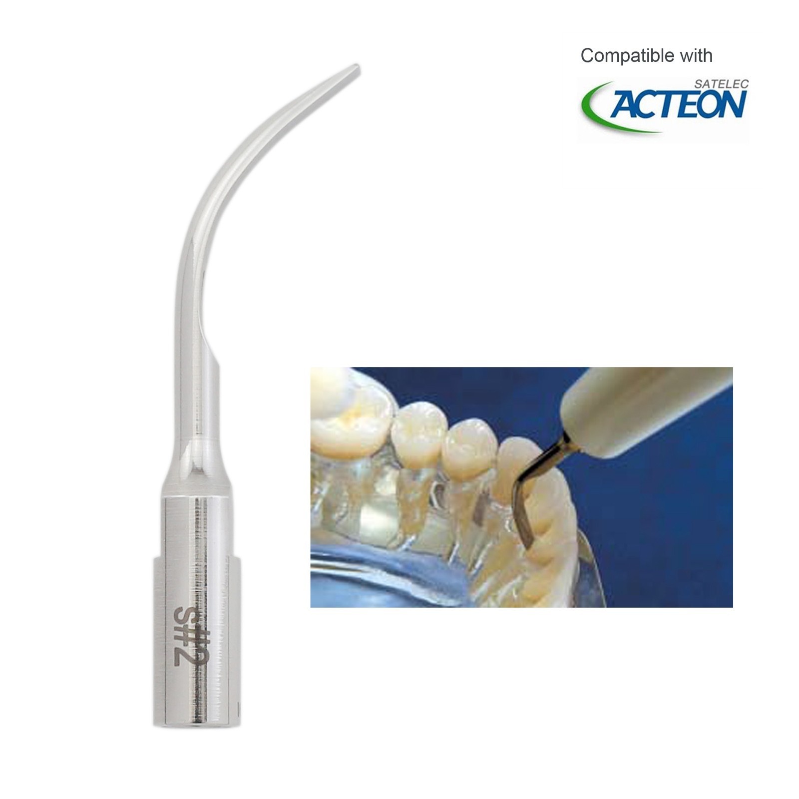 NEWTRON P5 Scaler Tips Dental Perio Scaling Tip #1 #1S #2 #3 fit Acteon Satelec