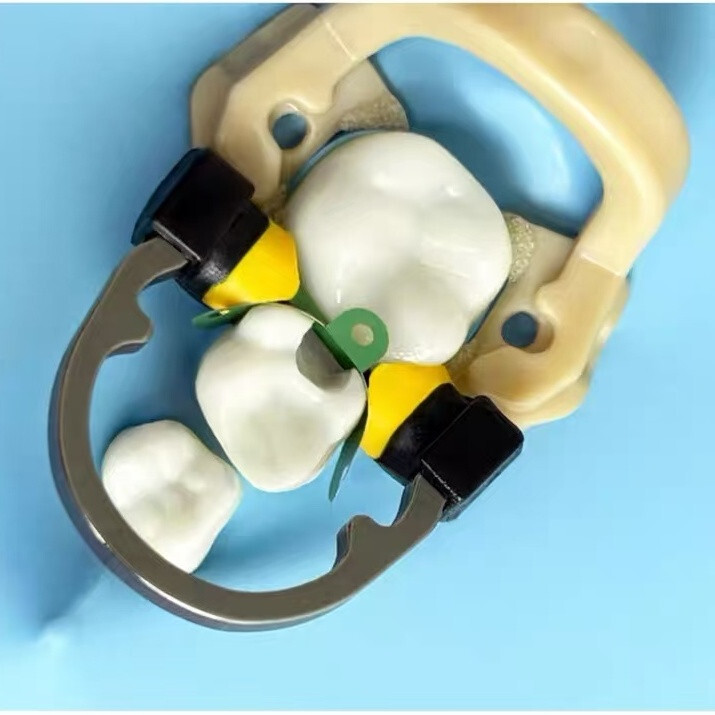 7 Type Dental Matrix Bands Ring Sectional Matrice Clamp Fit Garrison V3 System