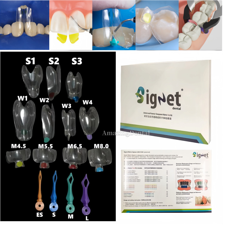 Dental Transparent Matrix Bands Clear Matrices Anterior Molar Bow Front Bioclear