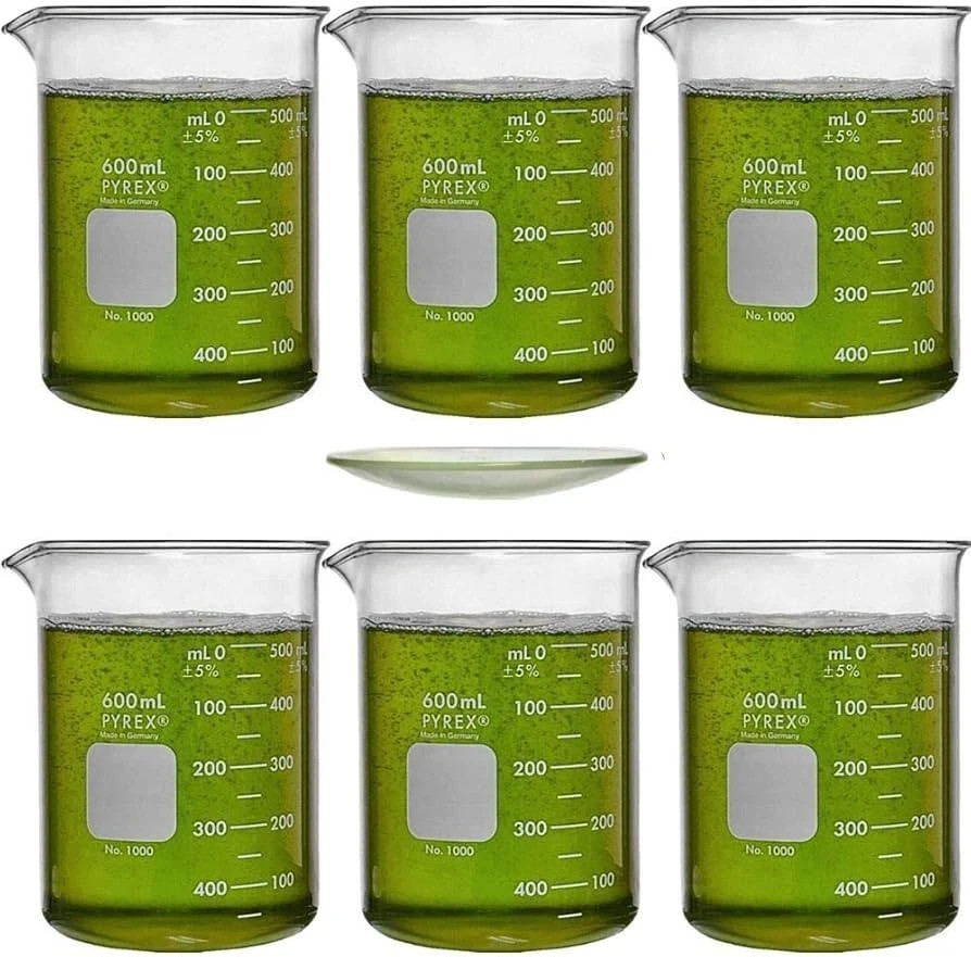 600ml Beaker PYREX 1000-600 w/ 100mm Watch Glass PYREX 9985-100 (Pack 6)