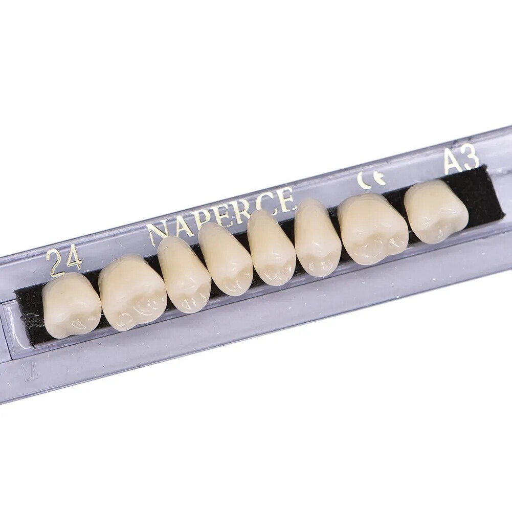 168X Acrylic Resin A1/A2/A3 Dental Denture Teeth Upper Lower Shade 22/23/24# USA