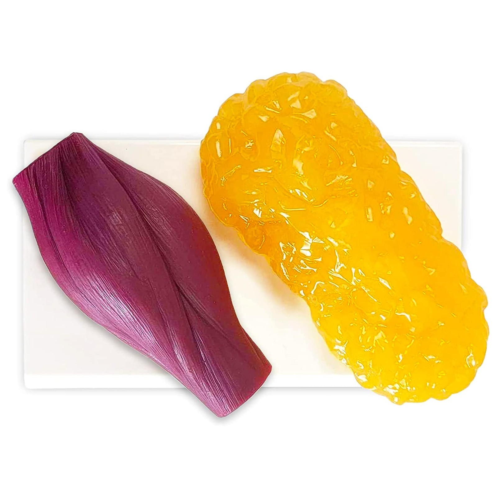 Amazing Human Body Muscle & Fat Replica 1lb by Evviva Sciences, Realistic Ana…