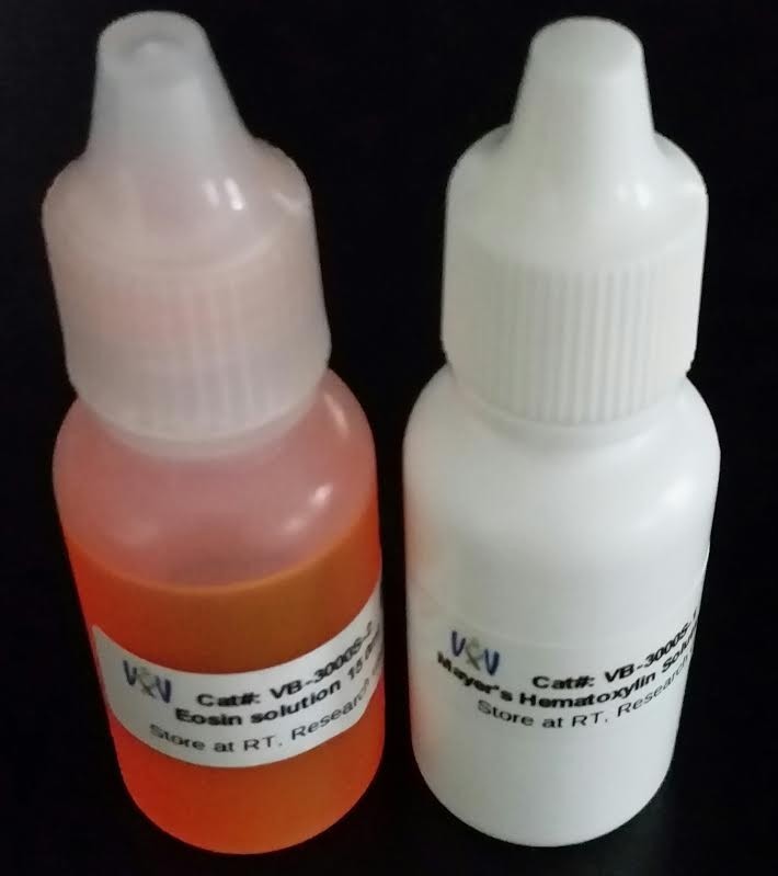 VitroView™ Hematoxylin and Eosin Stain Kit (30 ml/bottle) (CAT# VB-3000S)