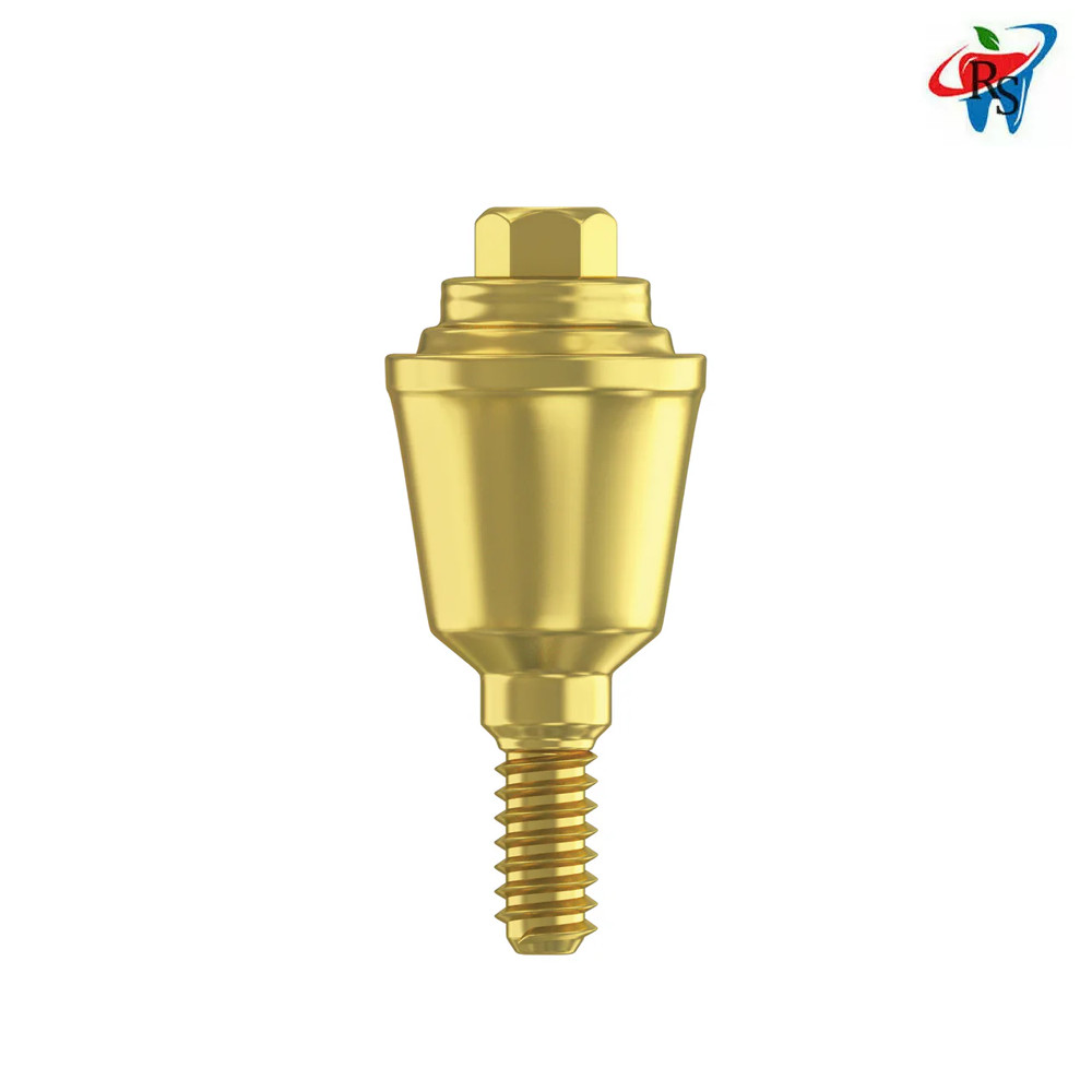 10x Dental Straight Slim Multi Unit 1.4 Int Hex 2.0mm Connection Titanium